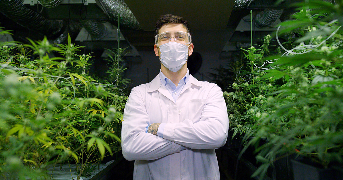 How to Run Your Dispensary During the Coronavirus