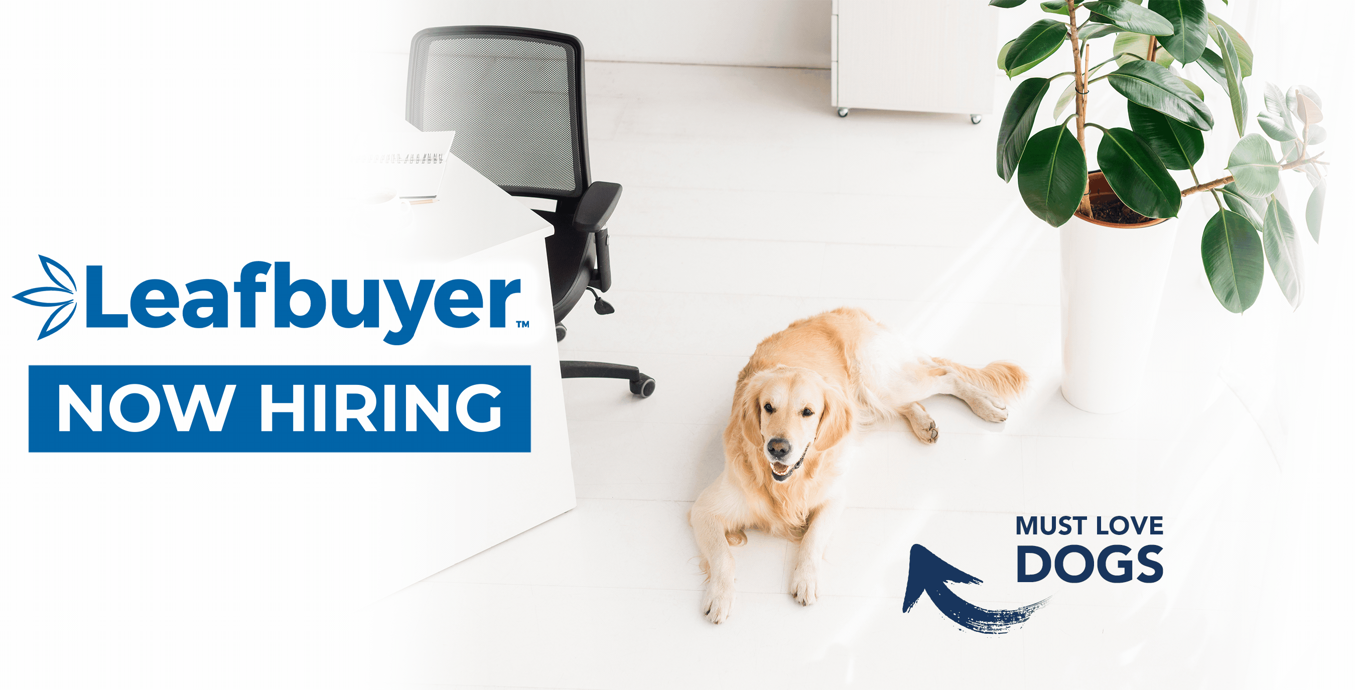 hiring_2 hiring_2